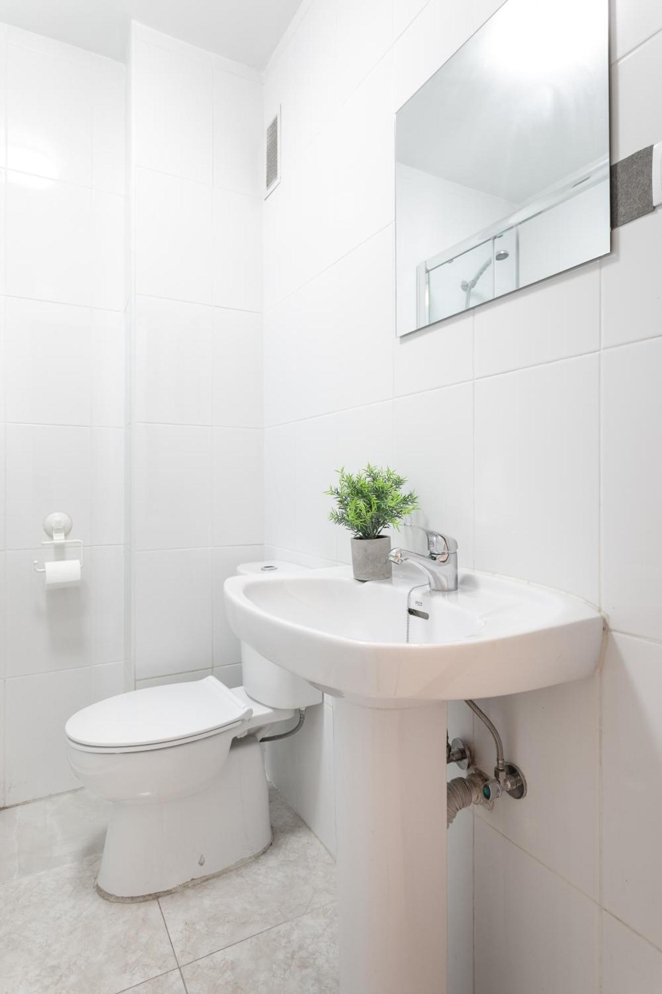 Santos Medicos, Centrico Apartamento Casco Antiguo อาลิกันเต ภายนอก รูปภาพ